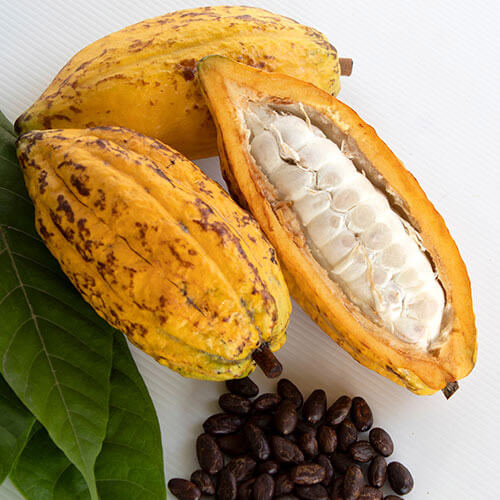 kakaopapier-verwendung