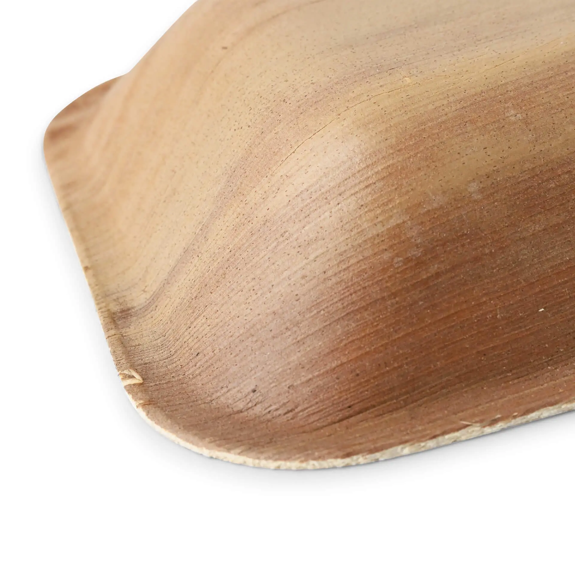Assiette en feuille de palmier "Palmware®", affiné, 16 x 13 cm dtw05330-palmblatt-teller-palmware-16-x-13-cm-tief-rechteckig-3