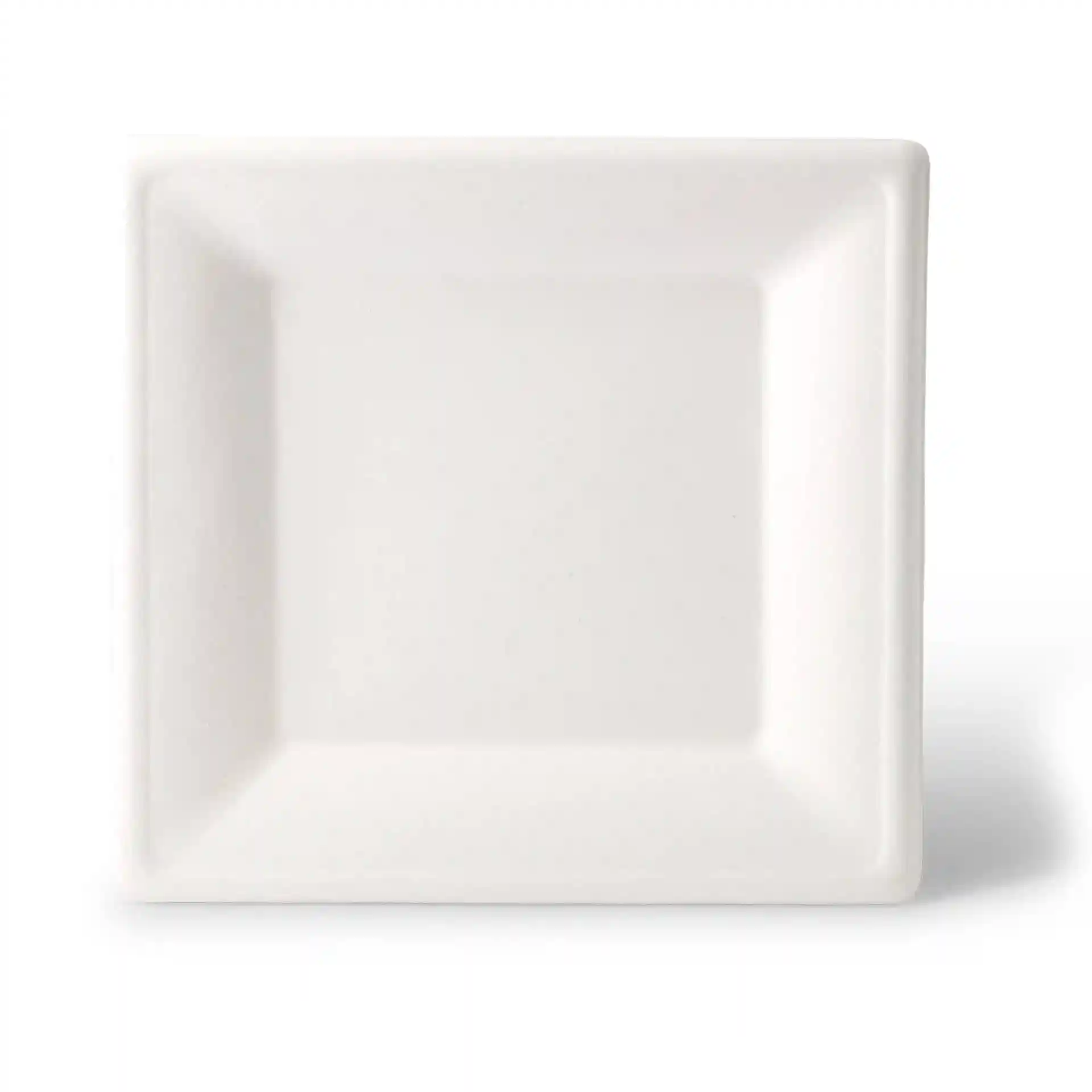 dtw08721-teller-aus-zuckerrohr-26-x-26-cm-quadratisch-1
