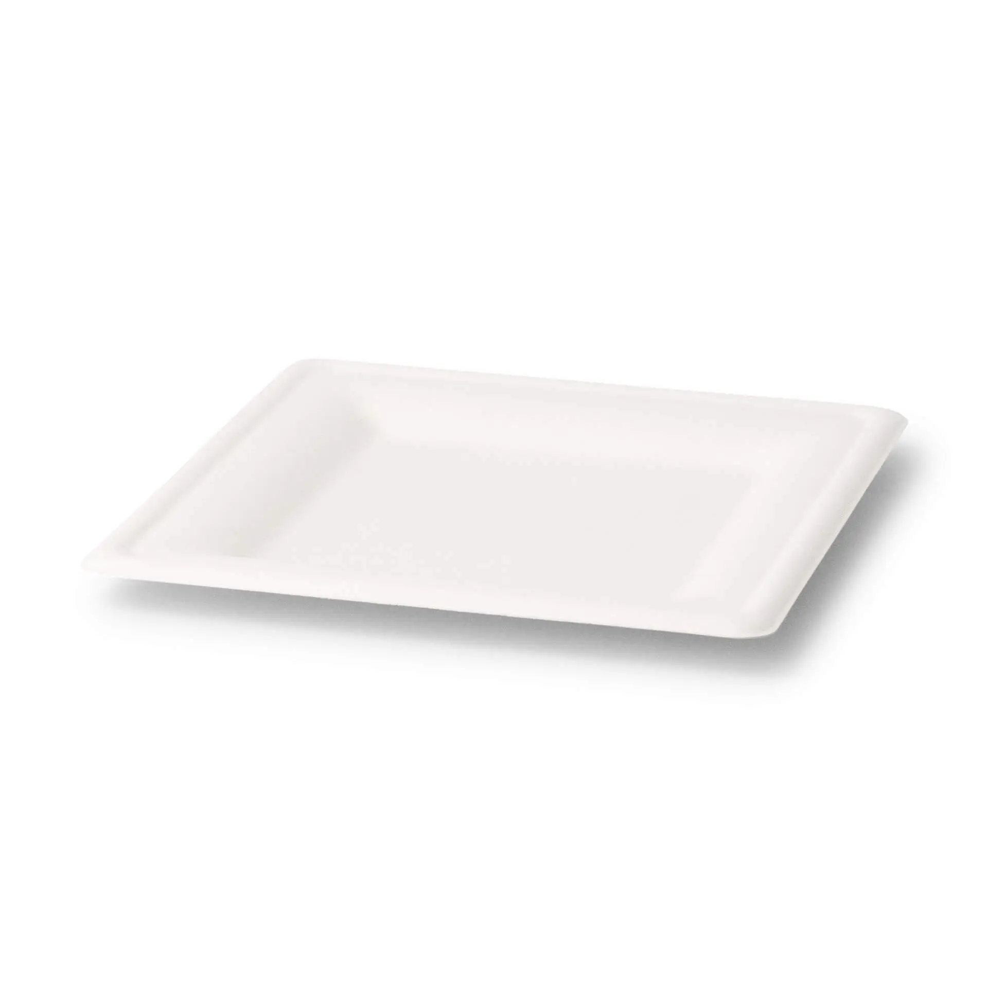 dtw087141-teller-aus-zuckerrohr-20-x-20-cm-quadratisch-2