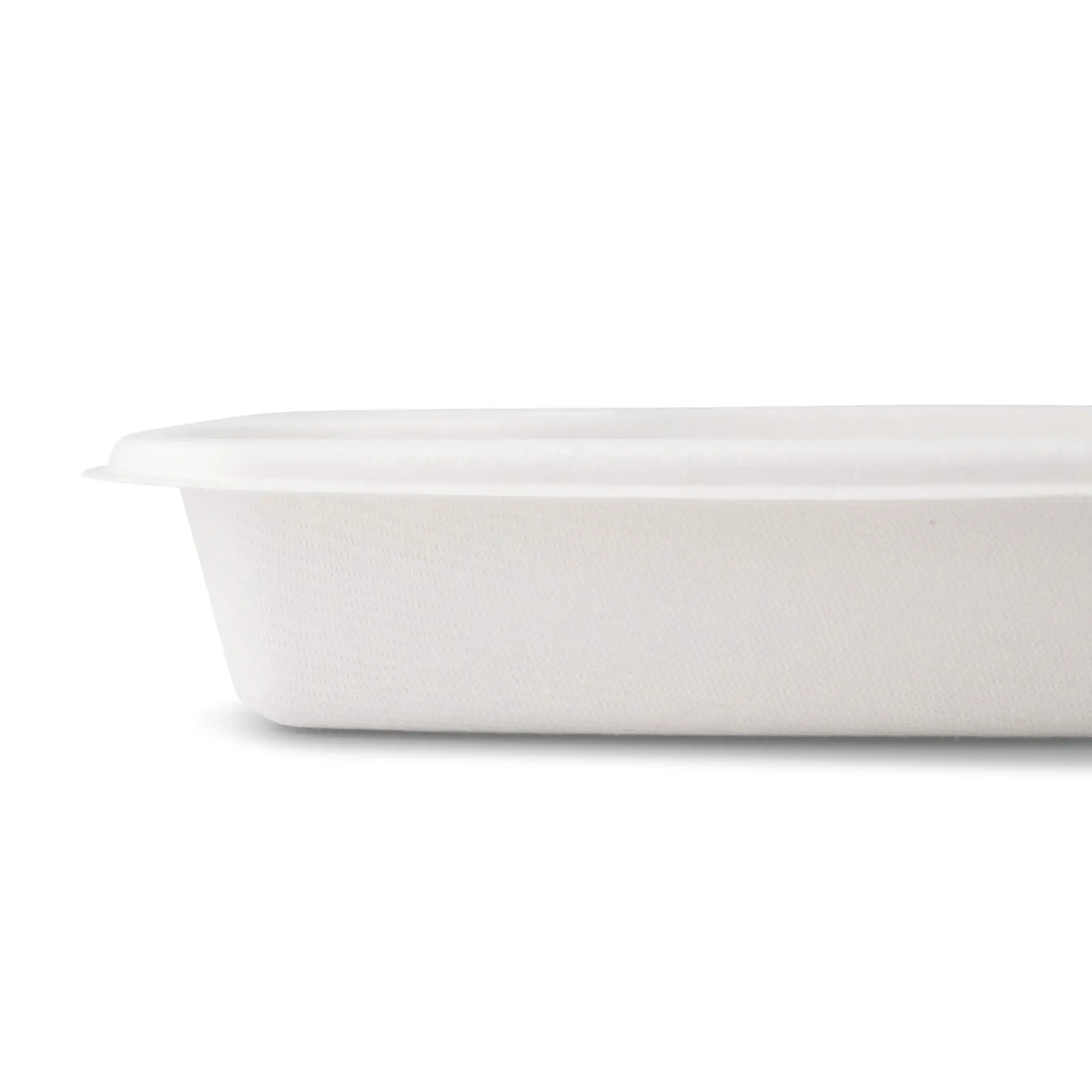 dtw014451-dip-teller-aus-zuckerrohr-165-x-19-cm-rechteckig-2
