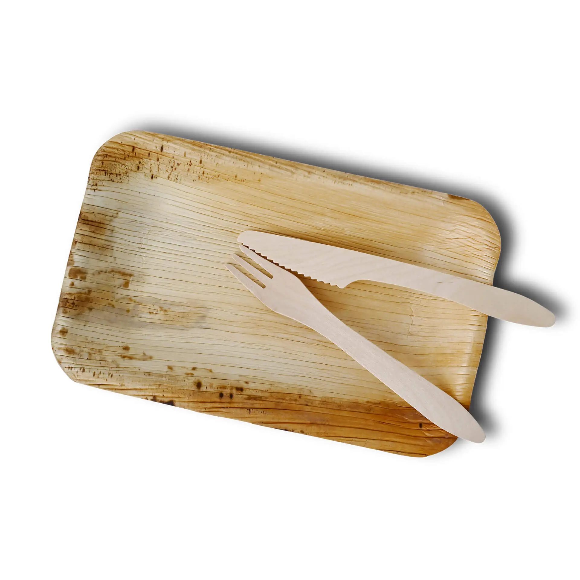 dtw053101-palmblatt-teller-palmware-25-x-15-cm-tief-rechteckig-5