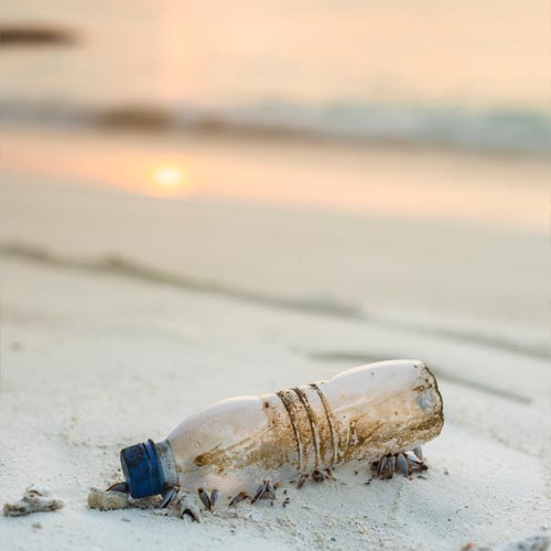umweltschaeden-durch-plastikmuell