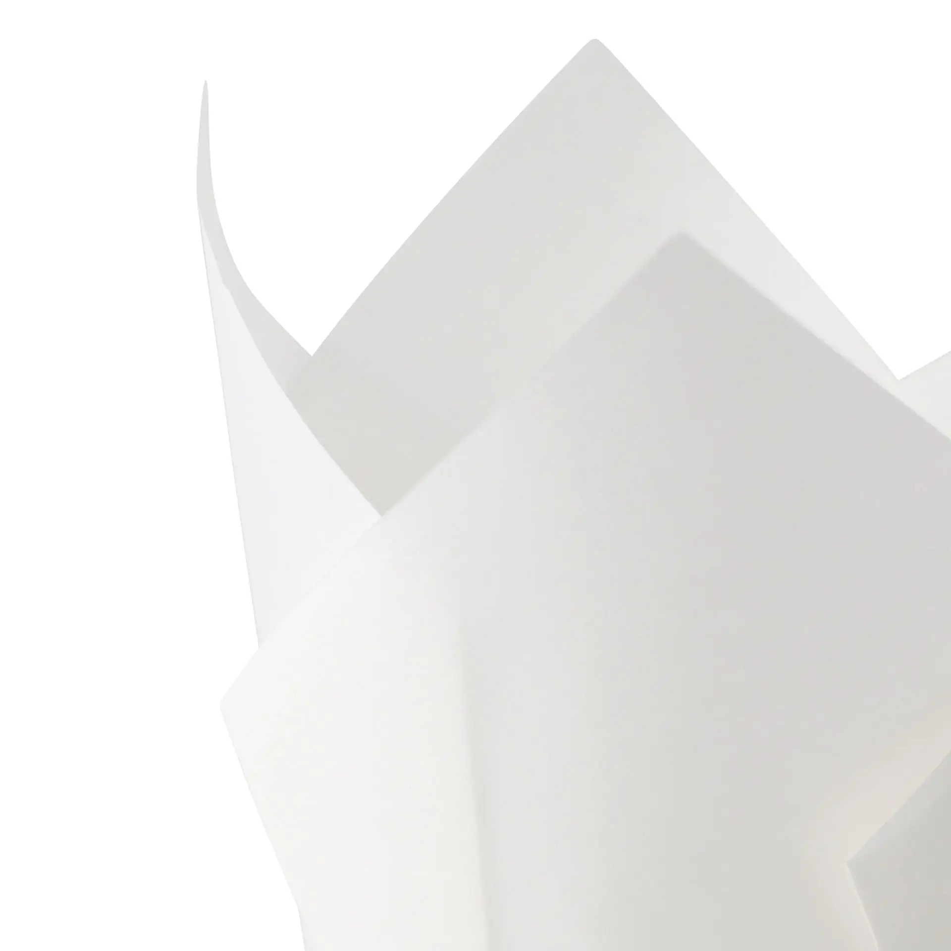 Caissettes à muffins en papier 5,5 cm, Ø 5 cm, blanc