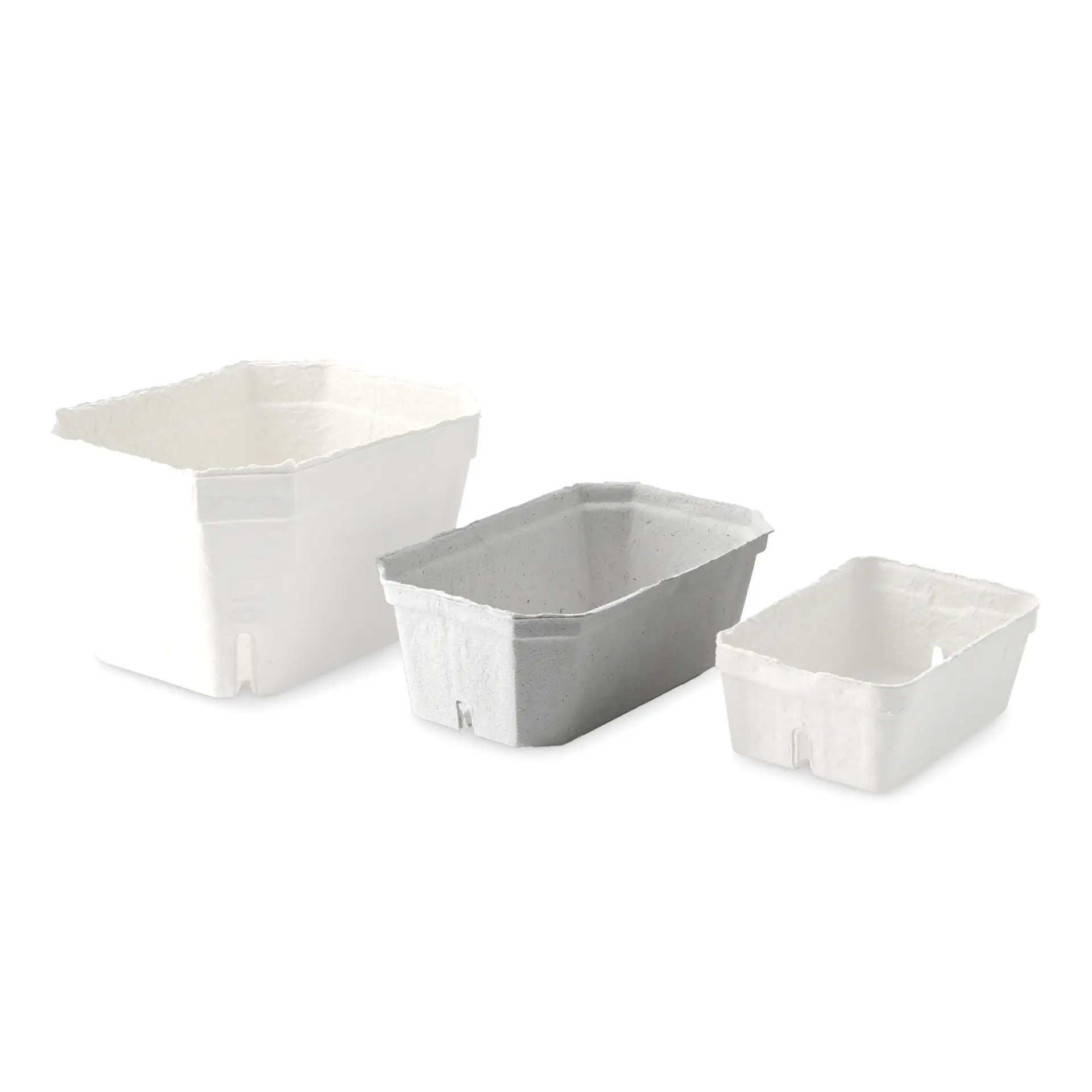 Trois plateaux à baies blancs fabriqués en carton de pulpe de bois, de tailles variées, conçus pour les produits frais et le transport.