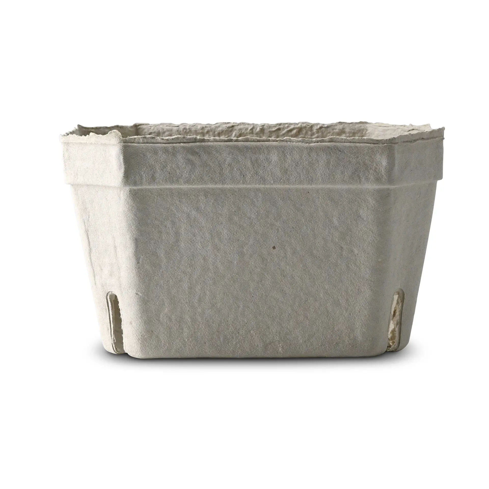 Un plateau à baies blanc en carton solide; conçu pour les fruits frais et les légumes doux, idéal pour les marchés.