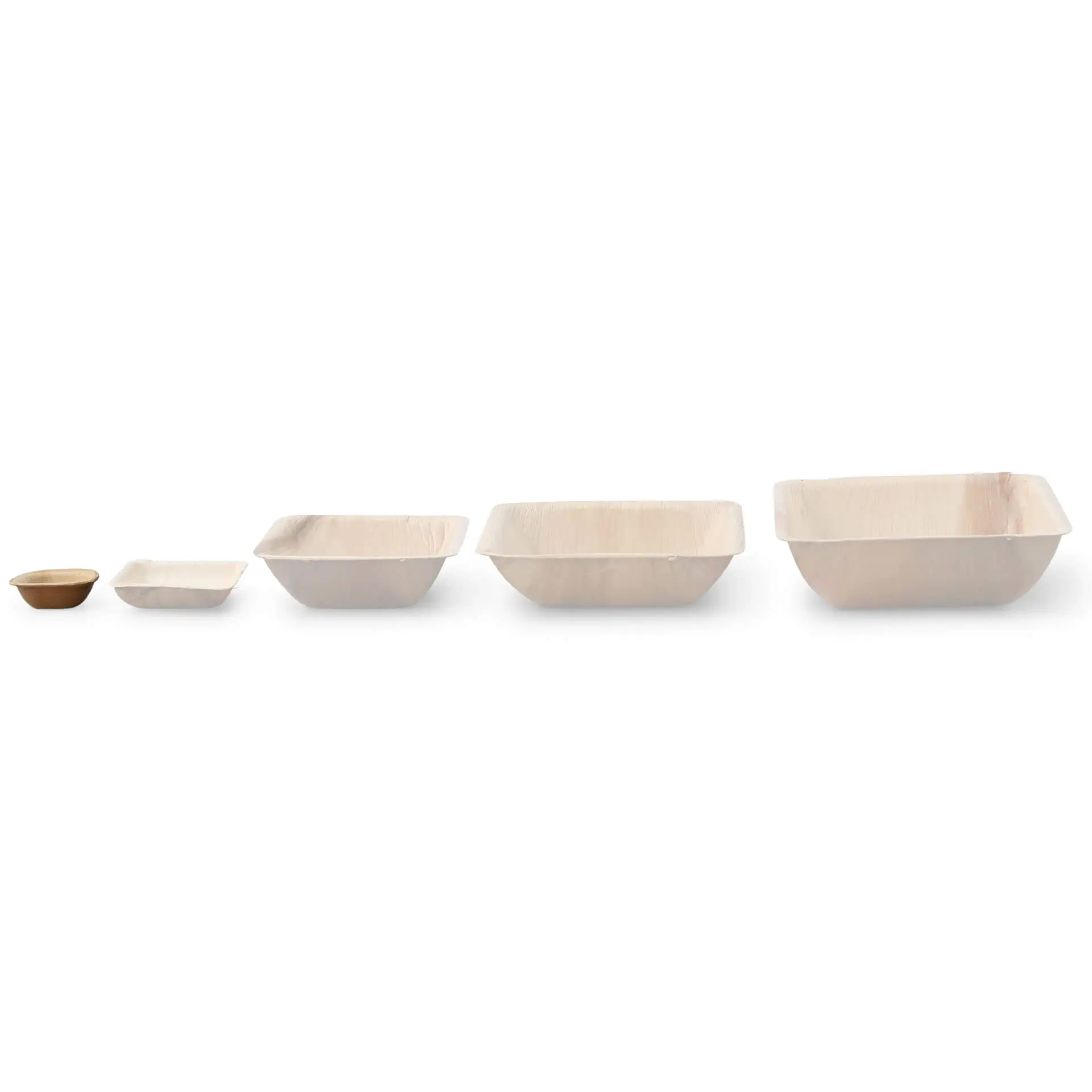 dtw05664-palmblatt-schaelchen-palmware-15-ml-quadratisch-9