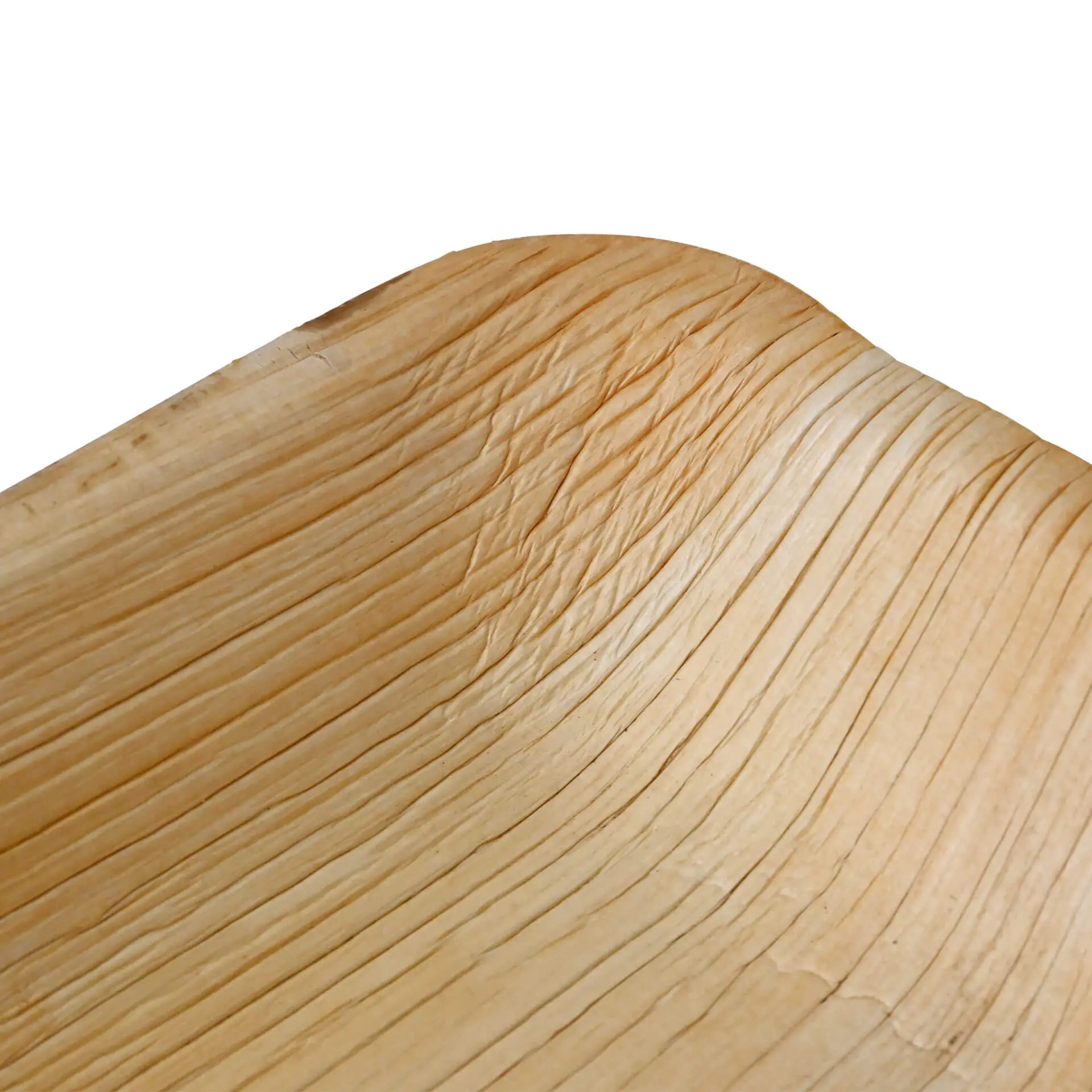 dtw053101-palmblatt-teller-palmware-25-x-15-cm-tief-rechteckig-3