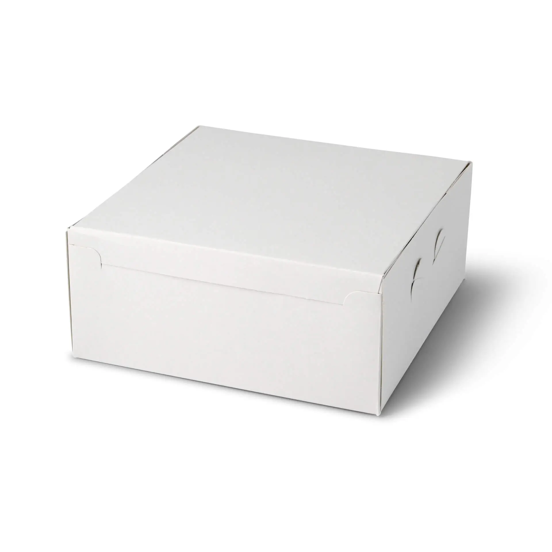 dre02553-tortenkarton-m-23-x-23-x-10-cm-weiss-1
