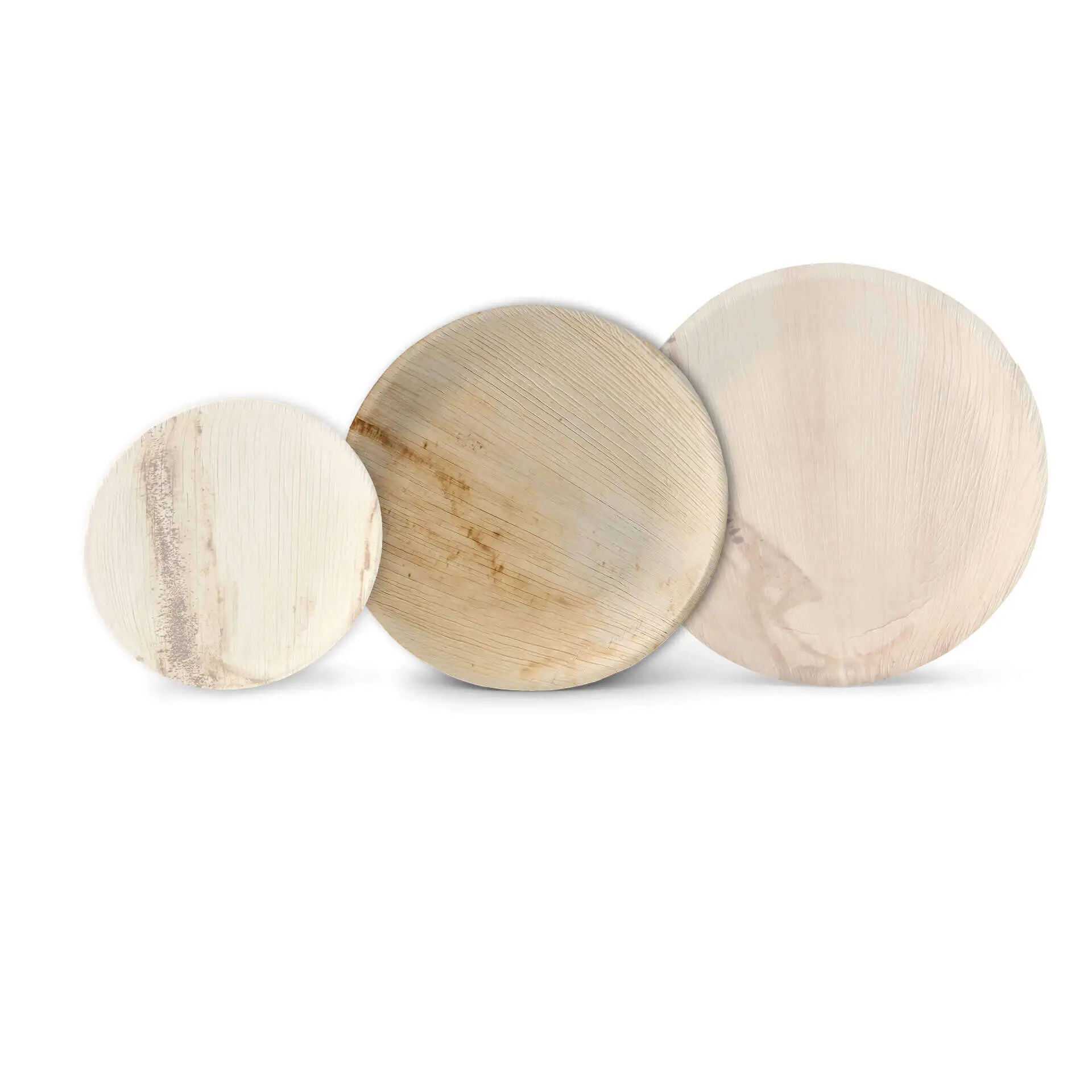 dtw053801-palmblatt-teller-palmware-23-cm-rund-9