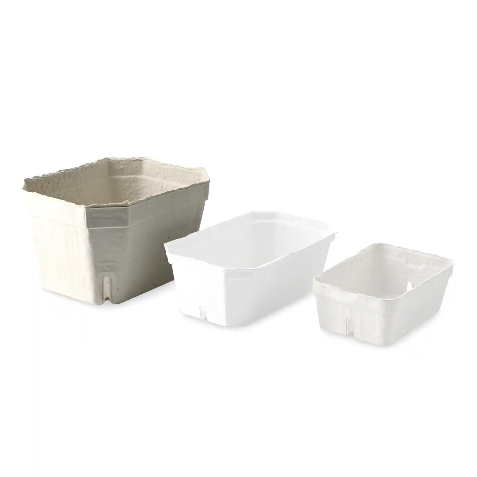 Trois barquettes en pulpe de bois blanches, de tailles variées, de forme rectangulaire et ouvertes sur le dessus.