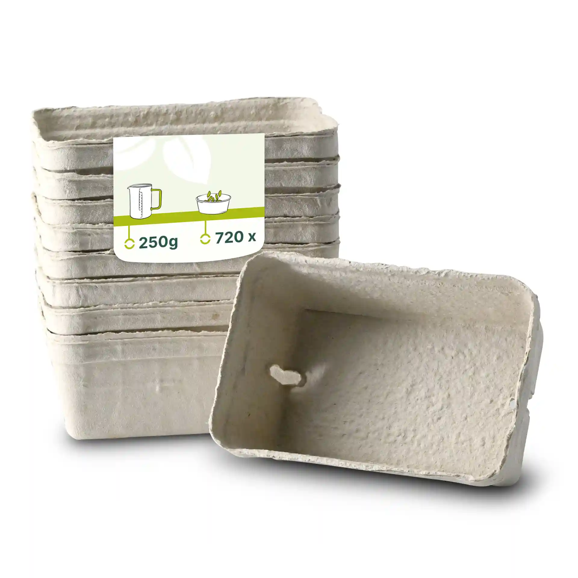 Empilement de barquettes en pulpe de bois blanches avec une barquette tournée sur le côté, montrant l'intérieur et les dimensions.