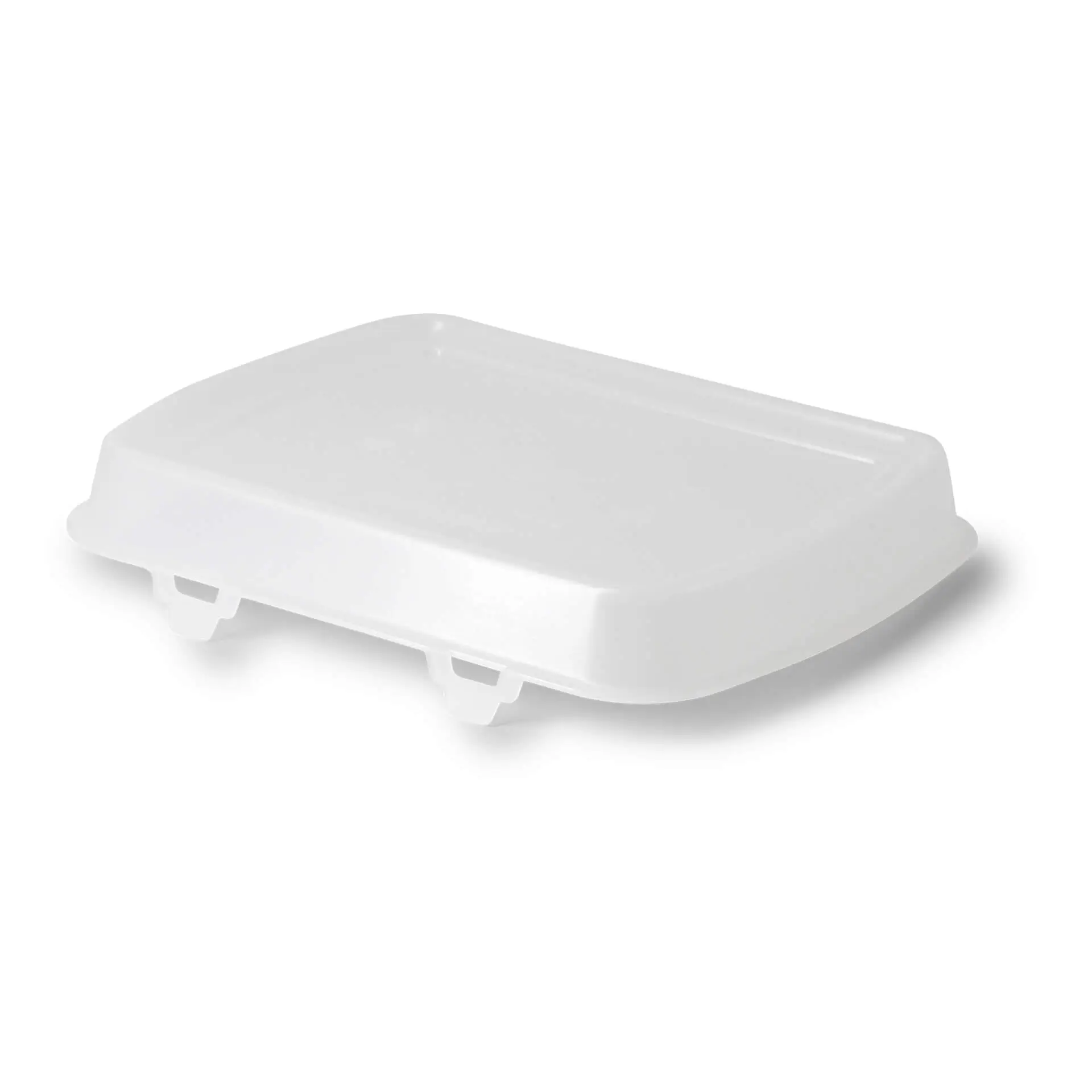 Coperchio trasparente riutilizzabile per una scatola, misura 24,5 x 20 x 4,5 cm, in polipropilene.