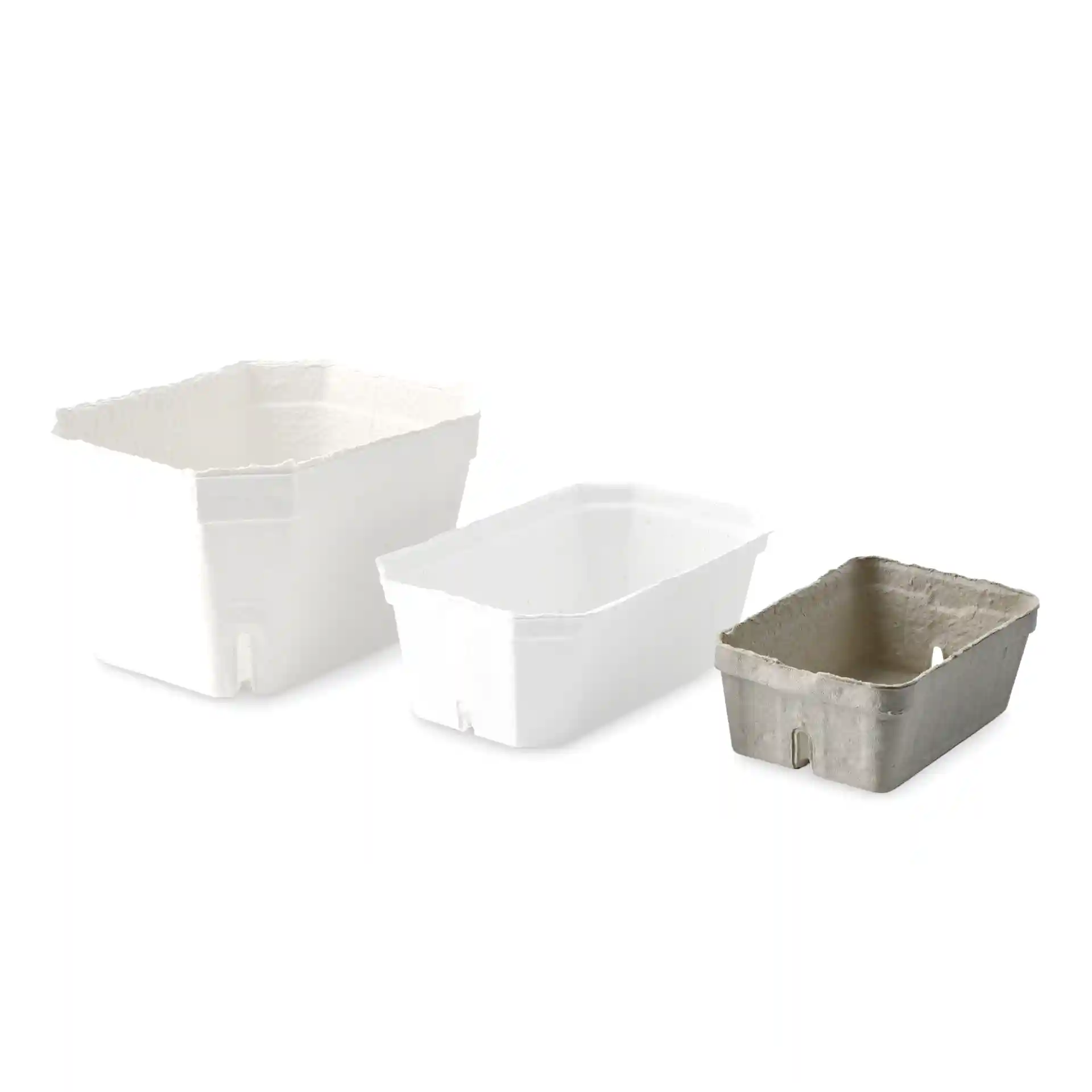 Trois barquettes en pulpe de bois pour baies en blanc et gris, de tailles variées, sur un fond uni.