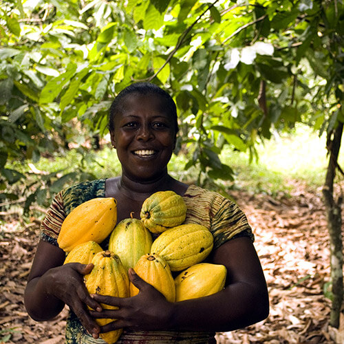 kakaopapier-herstellung