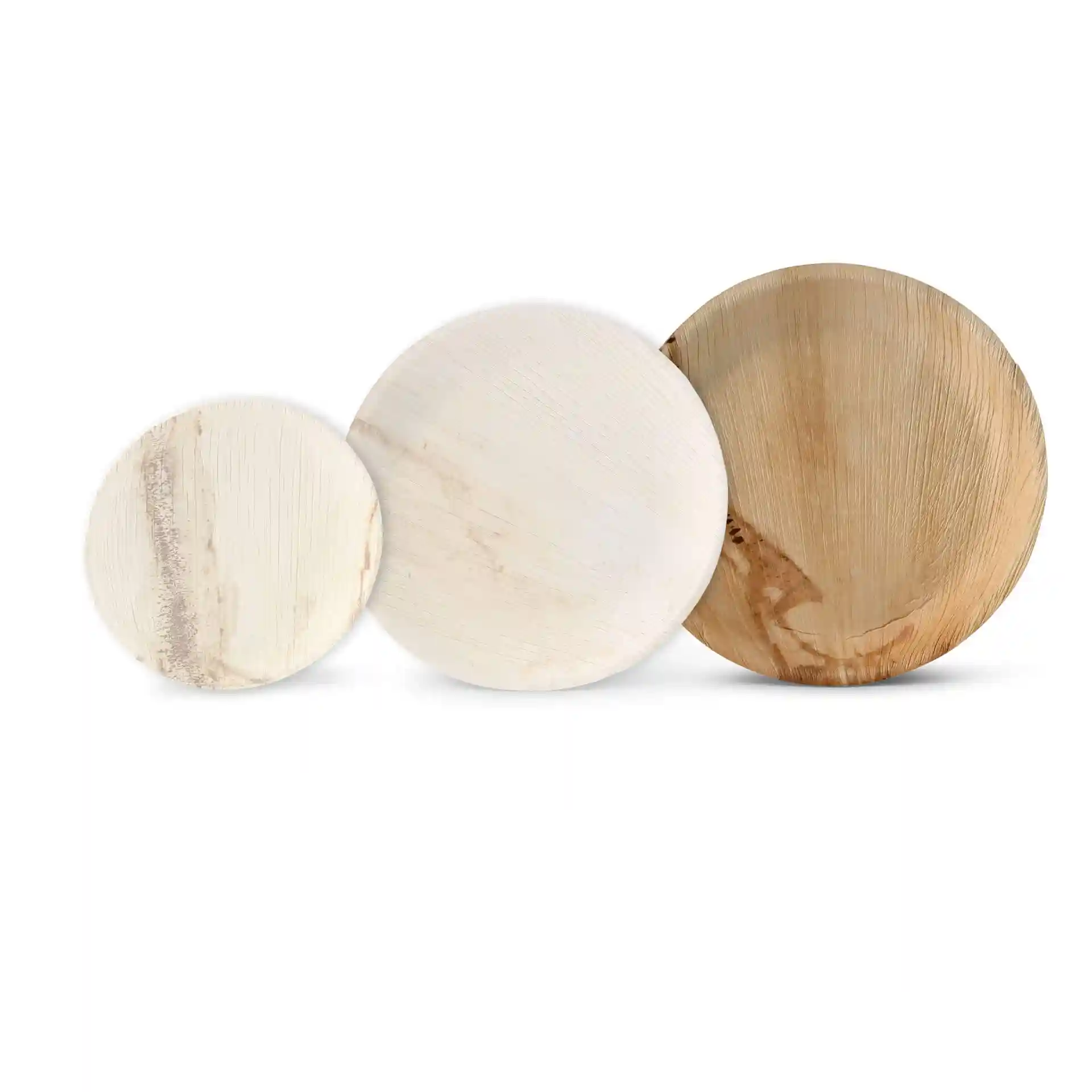 dtw05370-palmblatt-teller-palmware-25-cm-rund-9