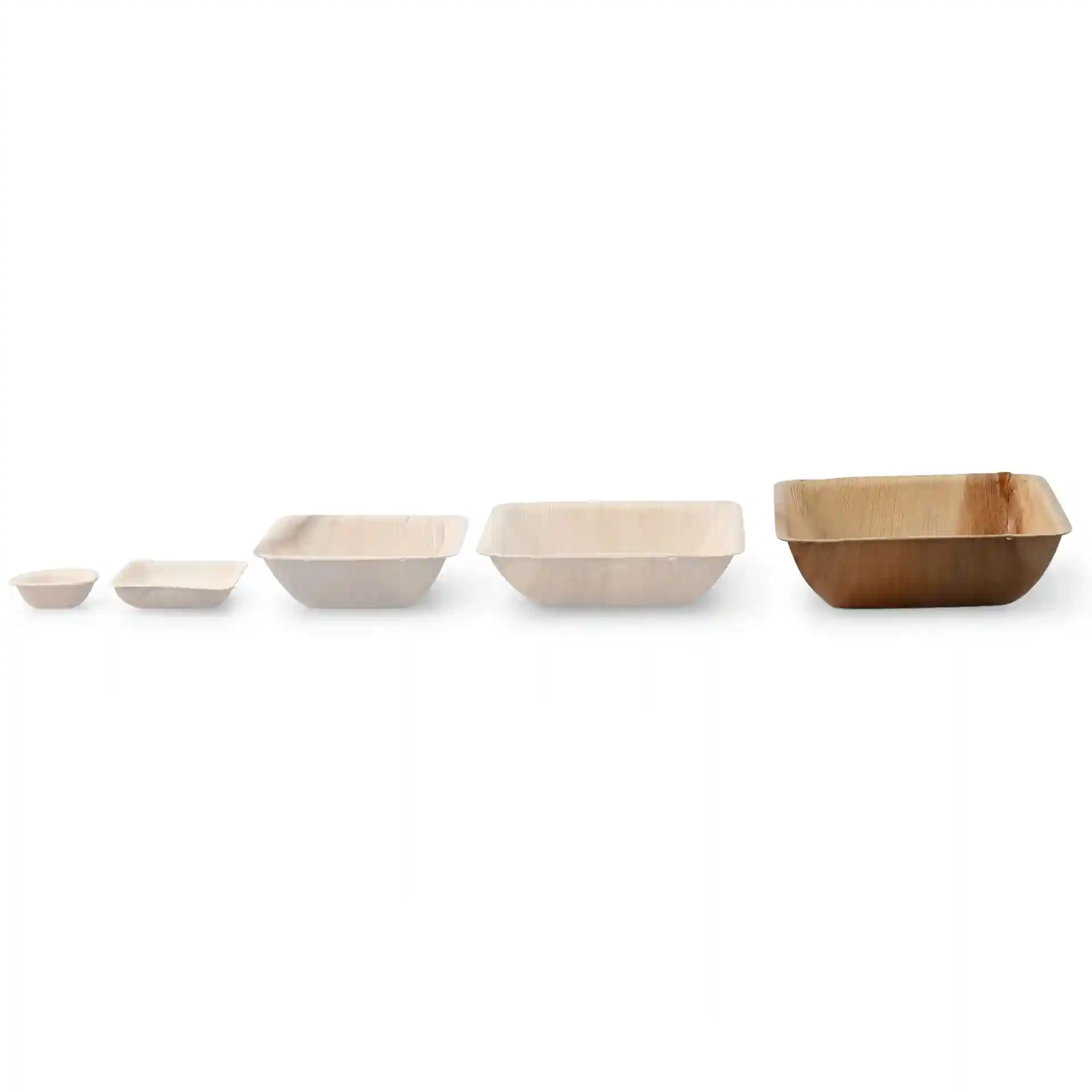 dtw05540-palmblatt-schalen-palmware-750-ml-quadratisch-9