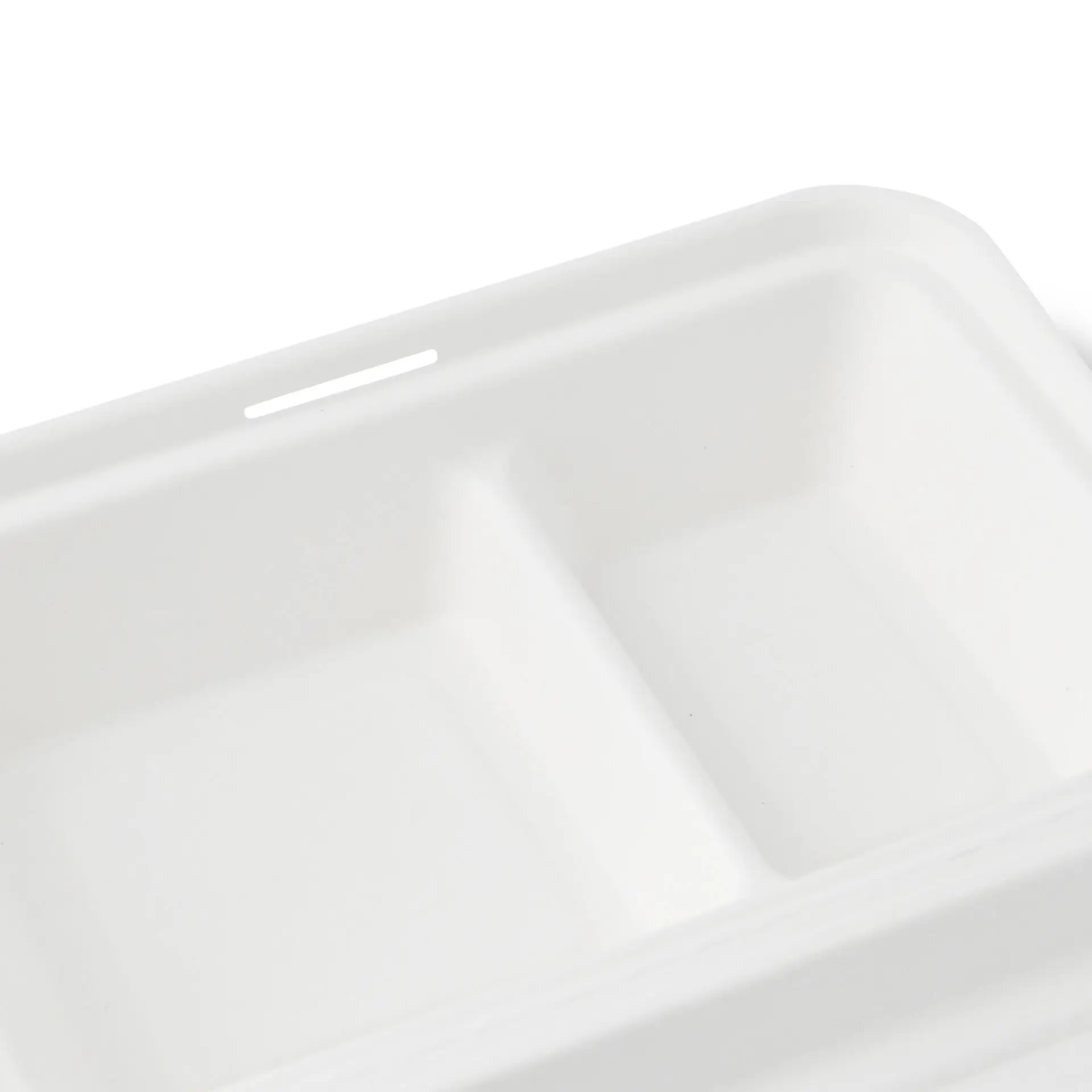 dfc012271-menueboxen-aus-zuckerrohr-25-x-165-x-61-cm-2-kammern-klappdeckel-rechteckig-3