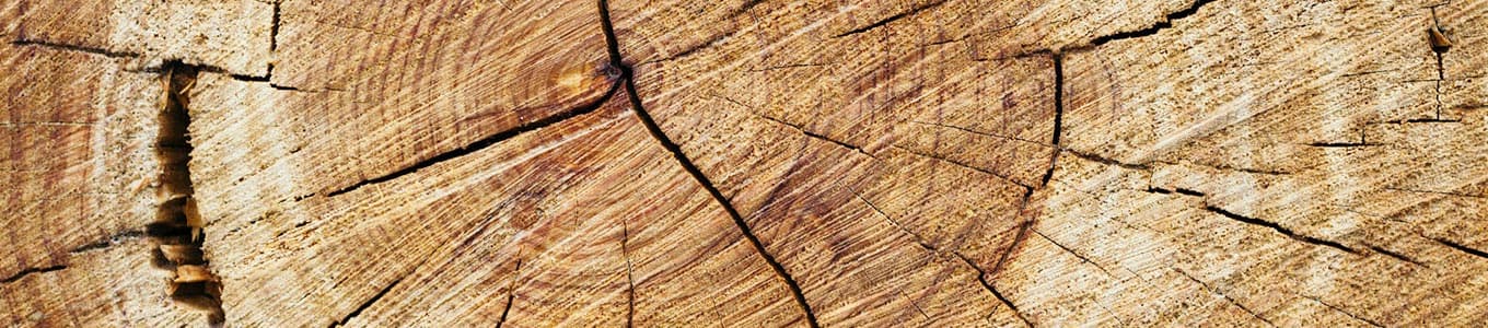 banner-holz