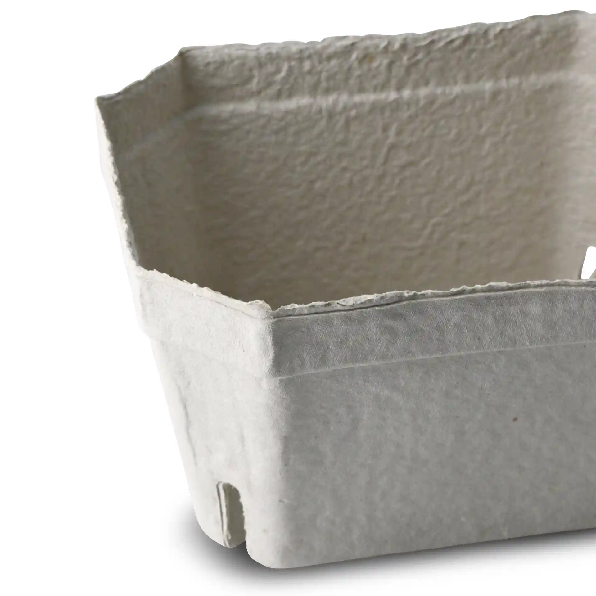 Barquette en pulpe de bois blanc, forme carrée et ouverte, mesurant 180 mm de long et 142 mm de large.