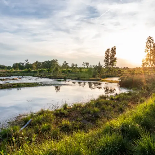 Blog_Aufrunden_Moor