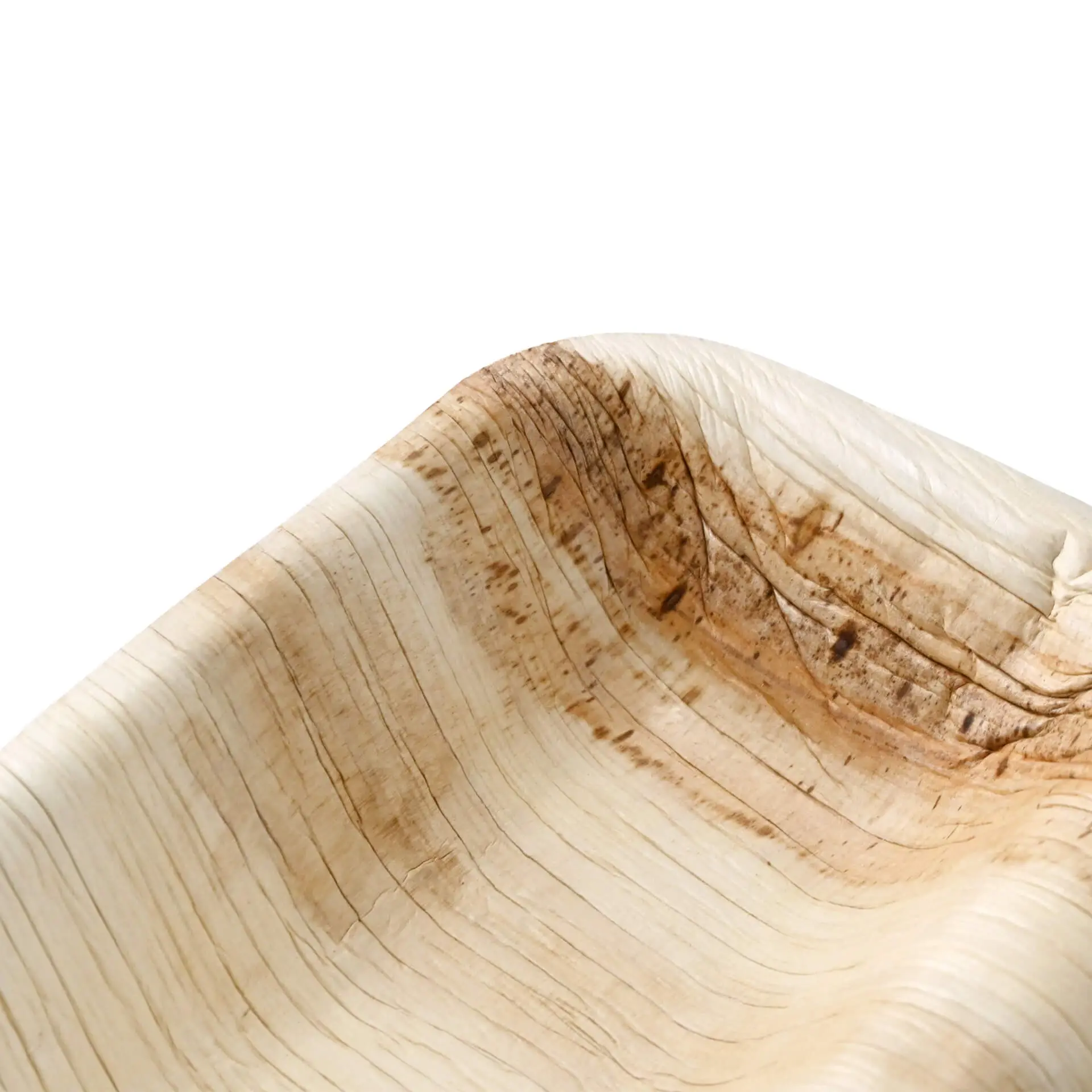 dtw055801-palmblatt-menueteller-palmware-25-x-15-cm-2-kammern-rechteckig-4