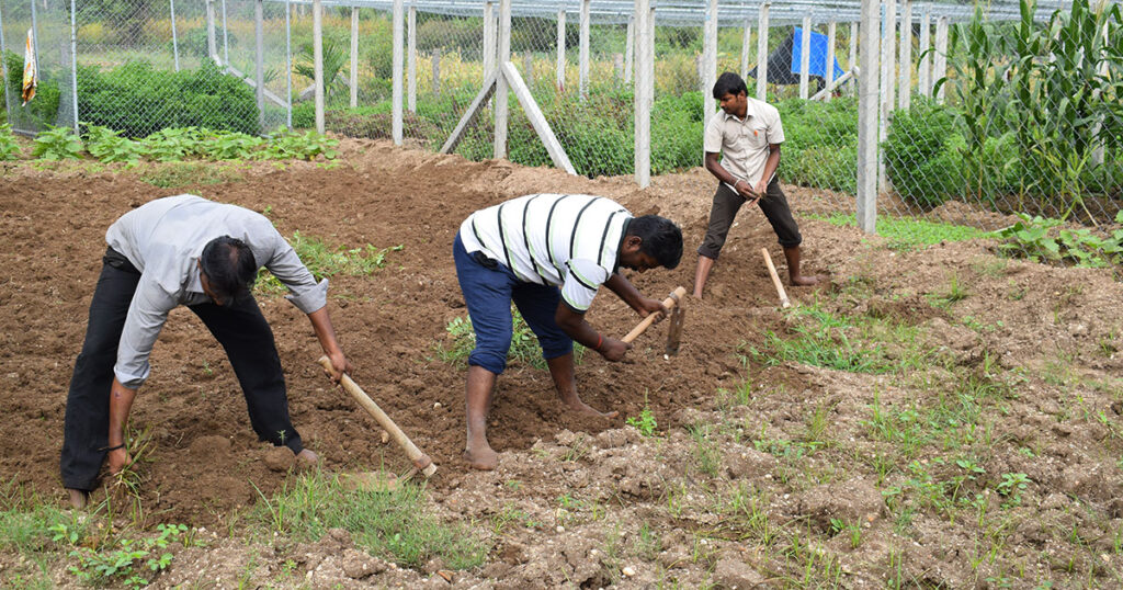 Natural Farming Projekt Natural-Farming-Projekt-1024x538