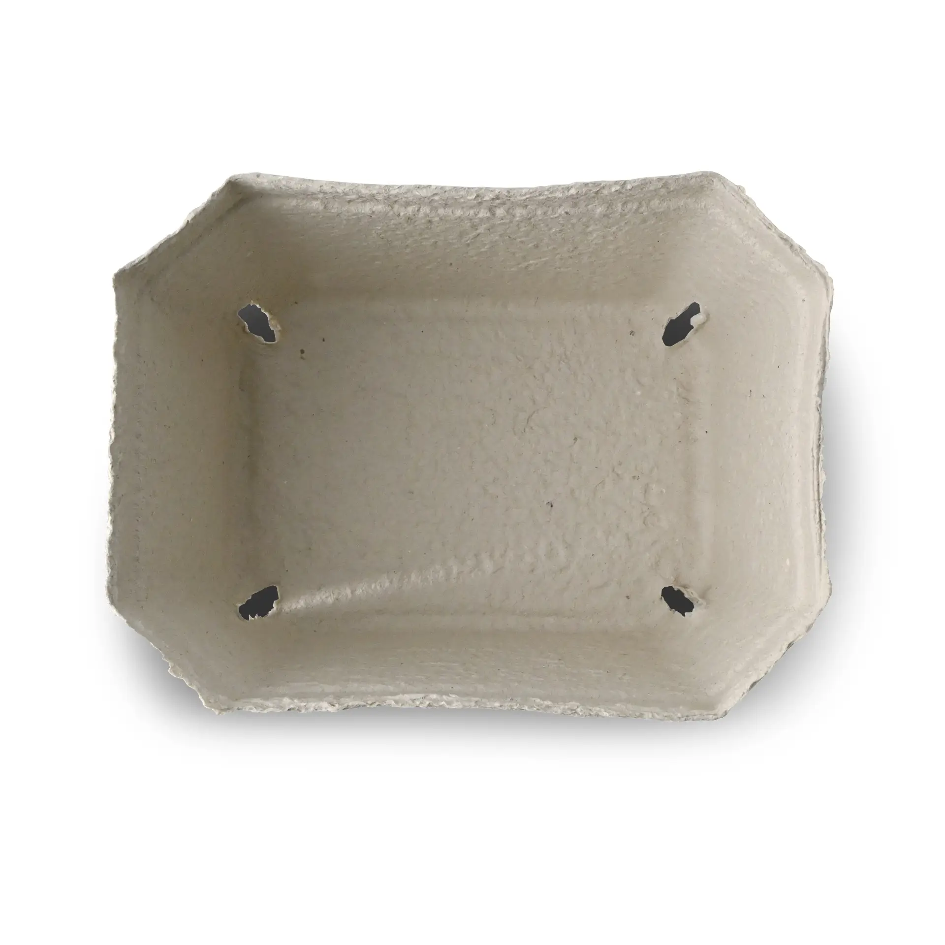 Plateau à baies blanc en carton solide, conçu pour le transport de fruits frais, idéal pour les marchés.