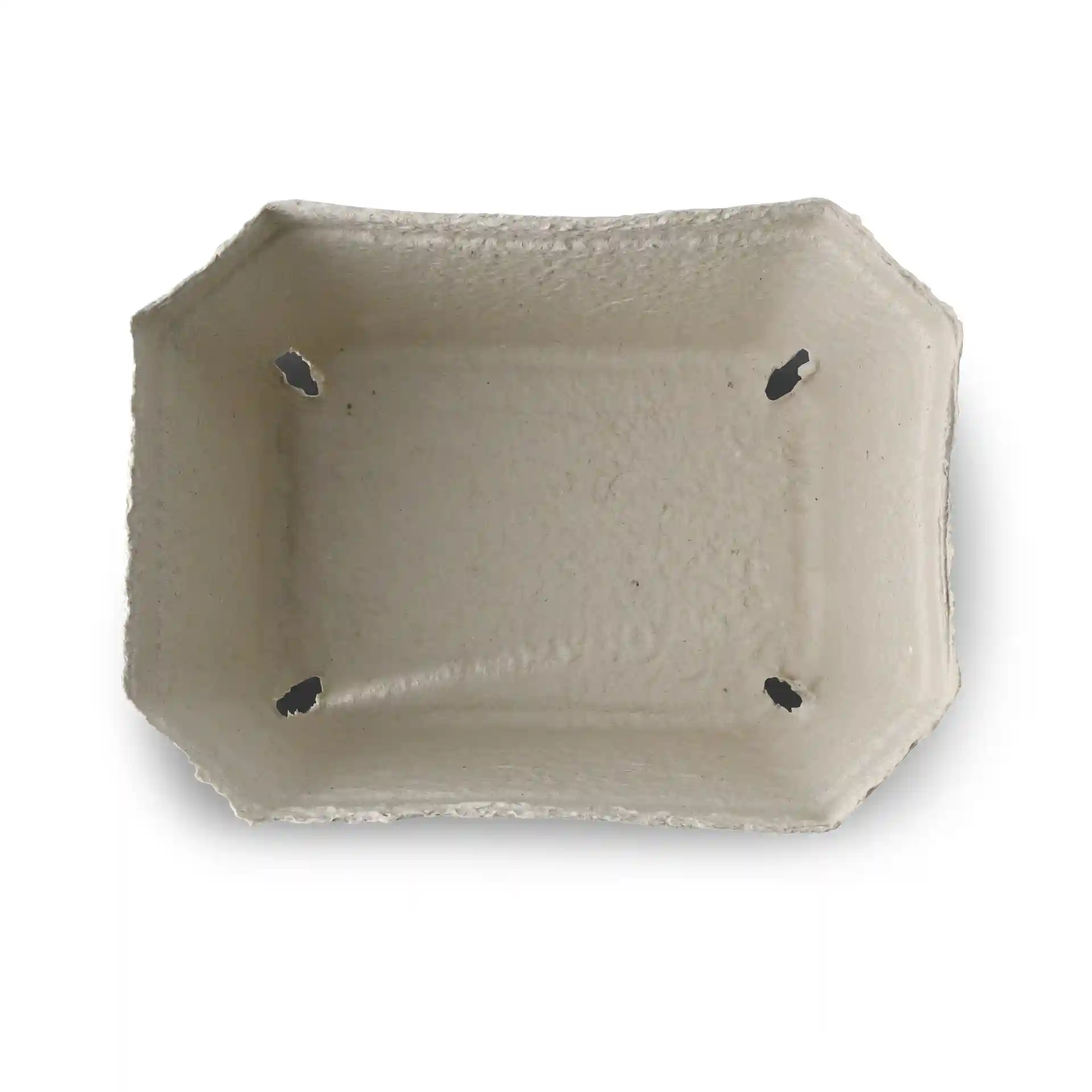 Barquette en pulpe de bois blanche pour baies, de forme rectangulaire avec quatre trous de drainage. Dimensions : 180 mm de long, 142 mm de large, 106 mm de haut.