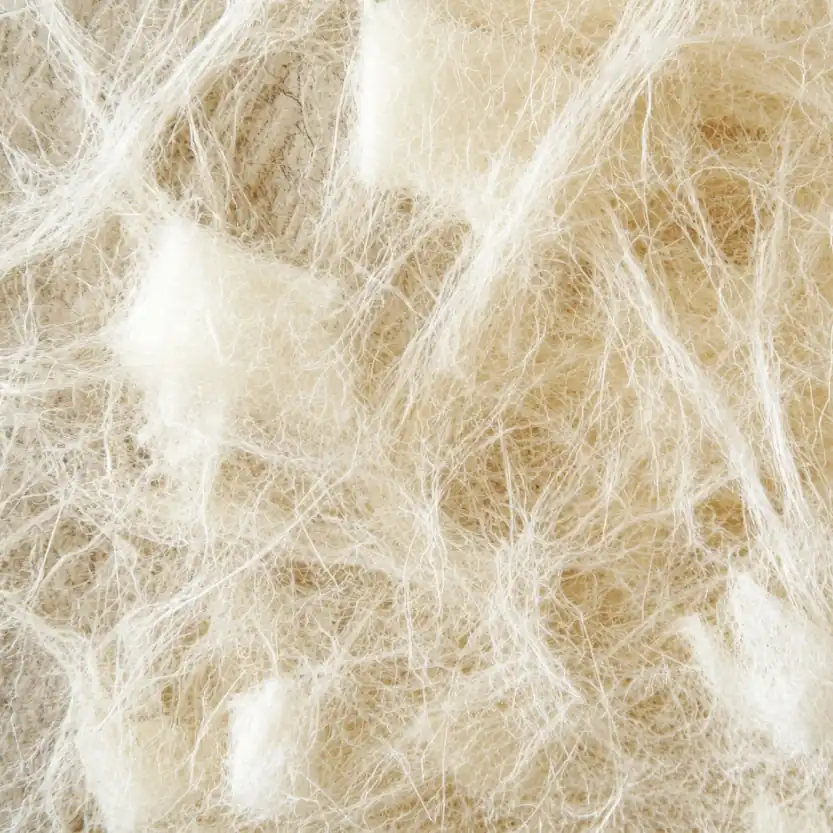 cellulosefibers_blog
